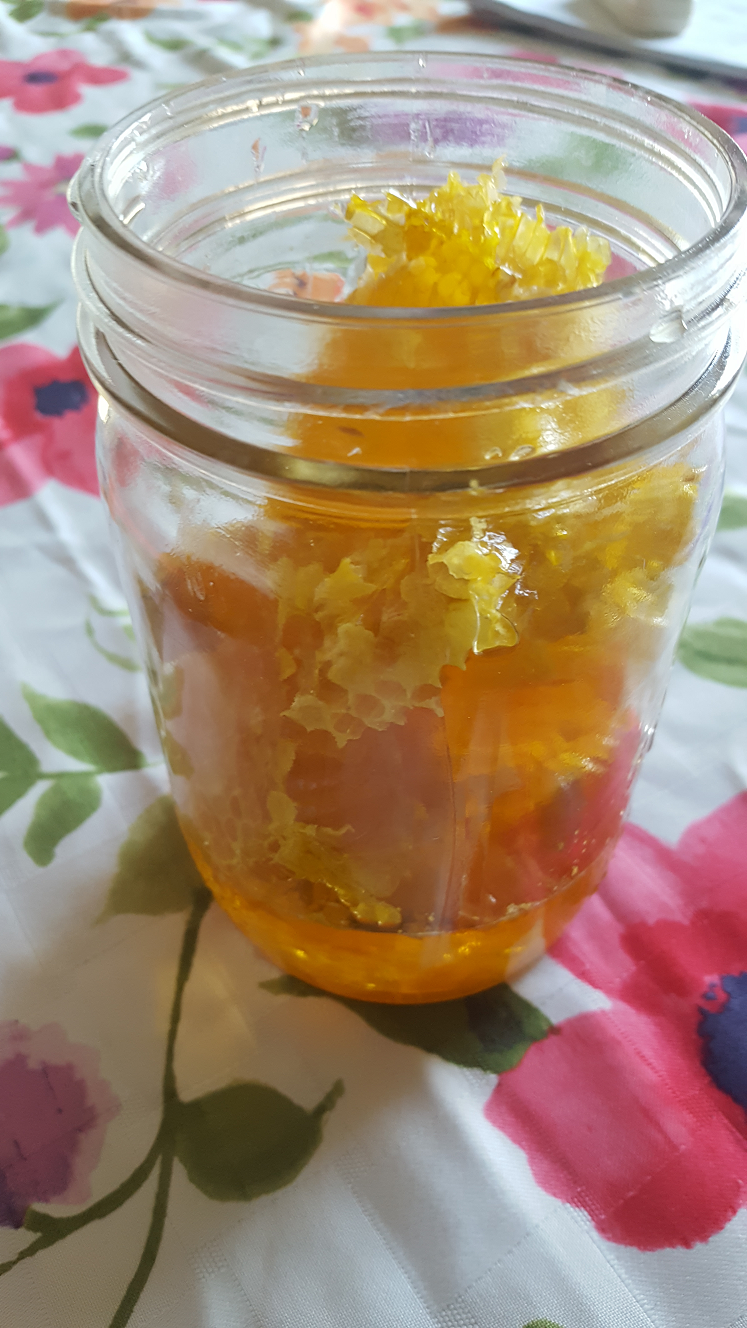 Raw Comb in Honey