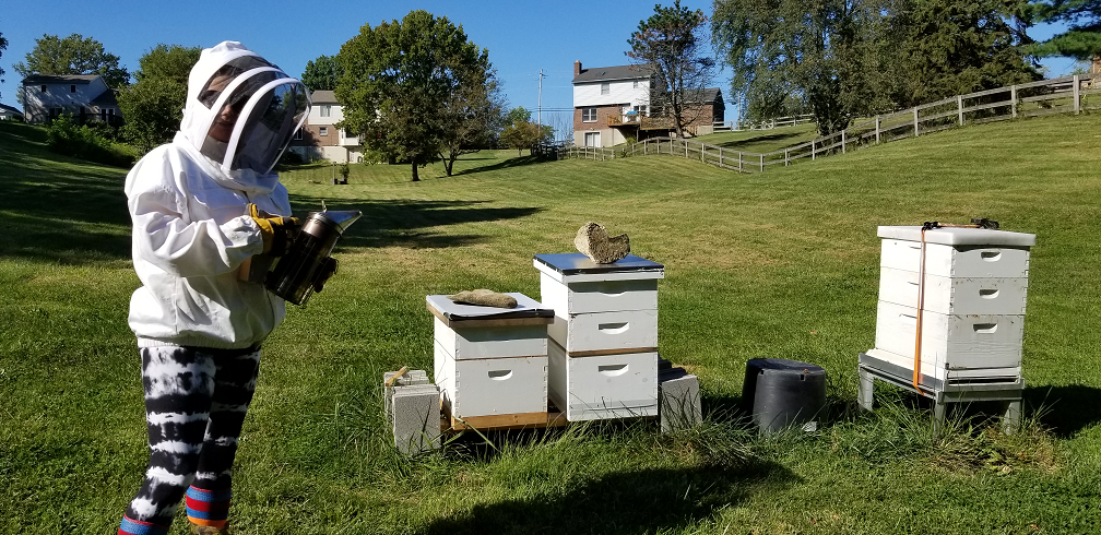 Independence Hives